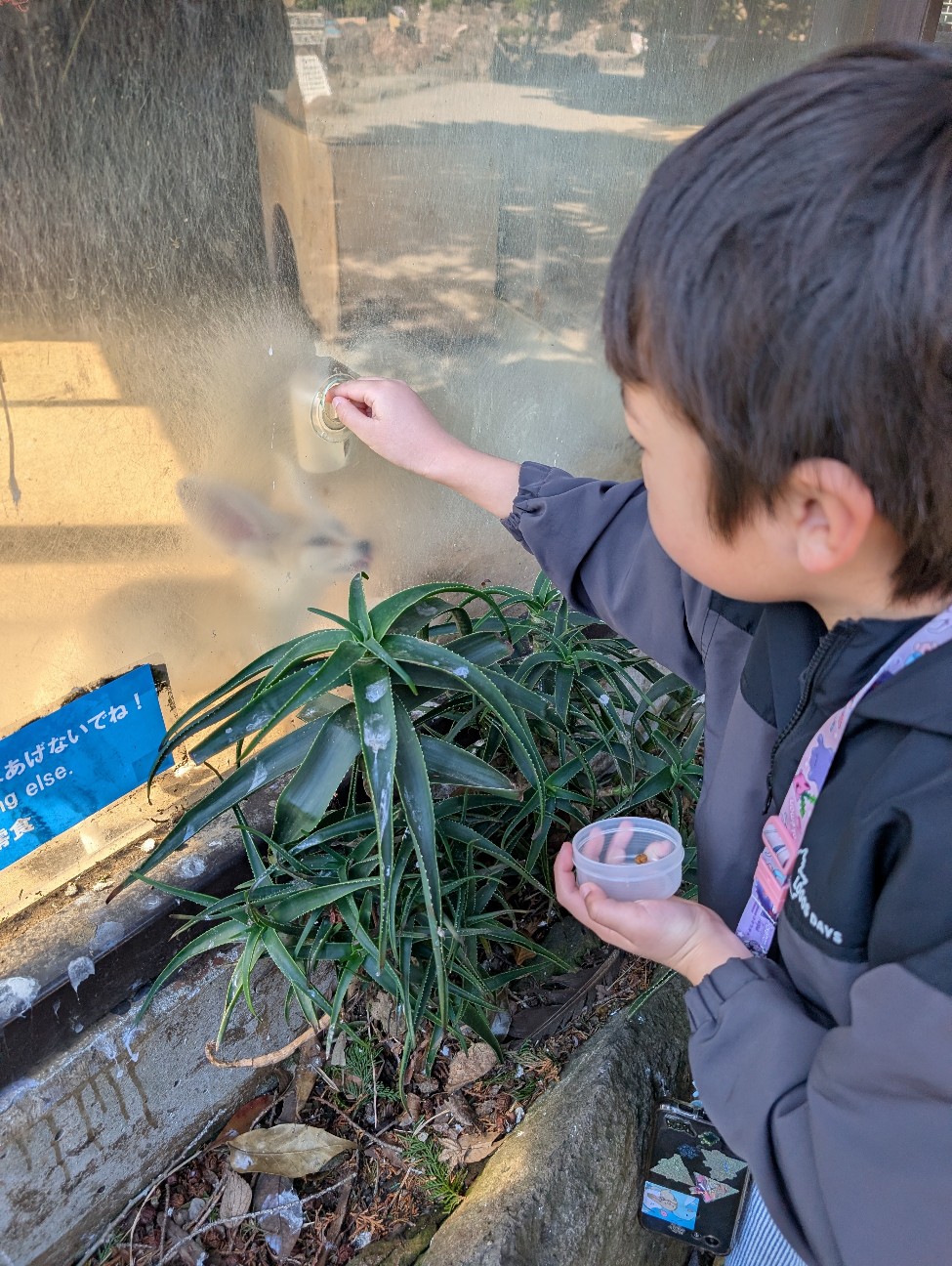 f:id:tetsuuma:20260311212549j:image
