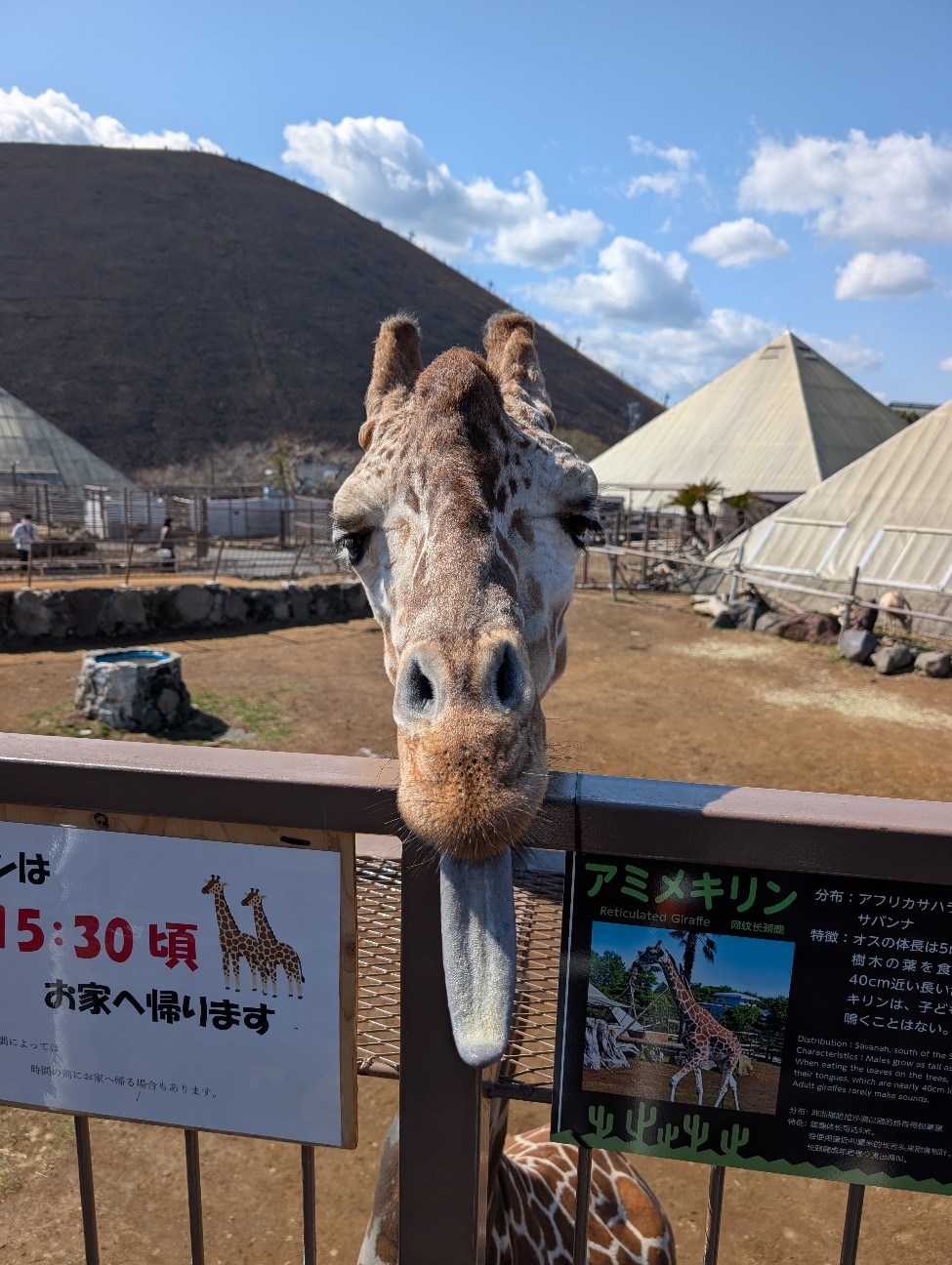 f:id:tetsuuma:20260314224354j:image