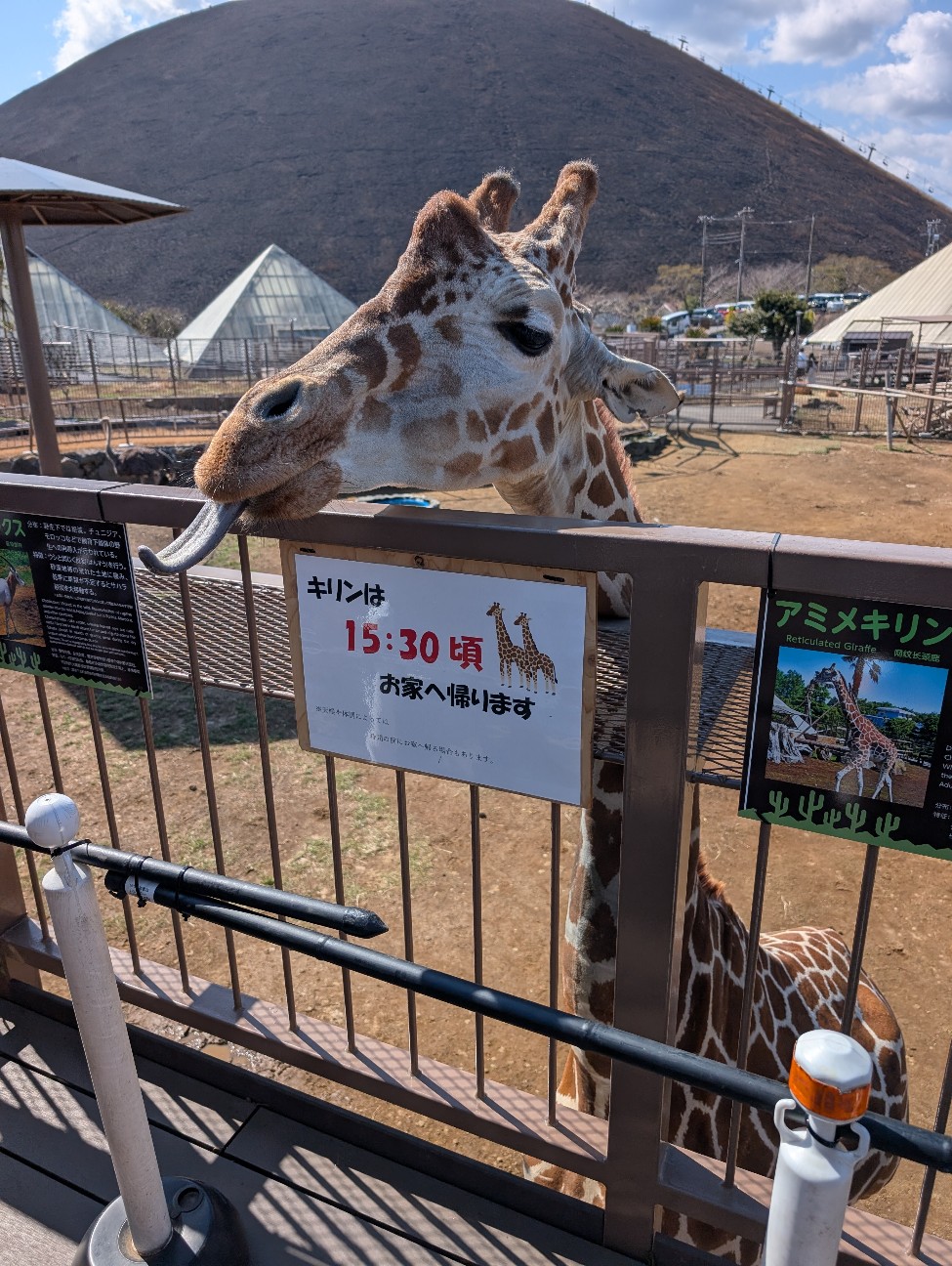 f:id:tetsuuma:20260314224355j:image
