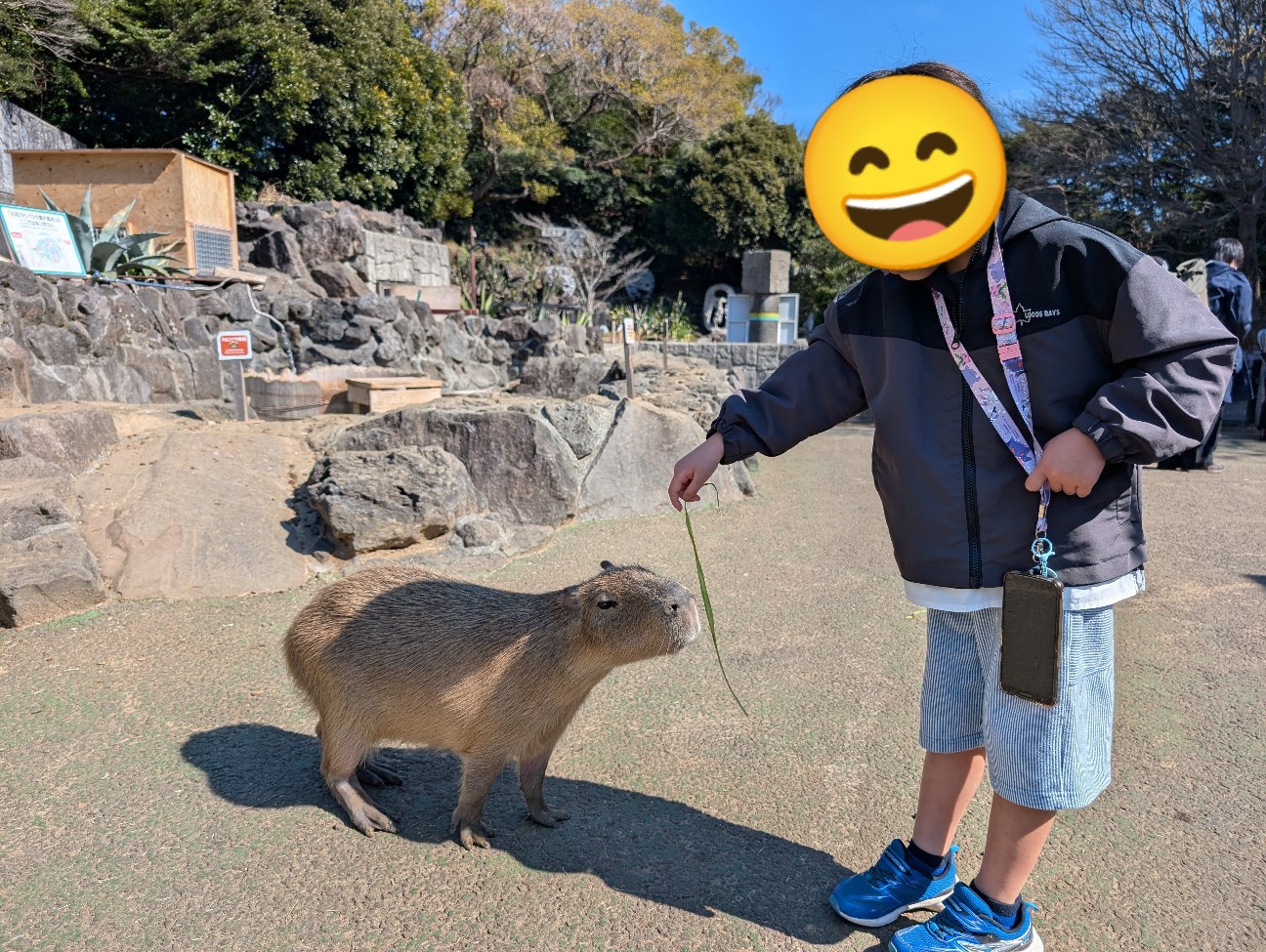 f:id:tetsuuma:20260314224535j:image