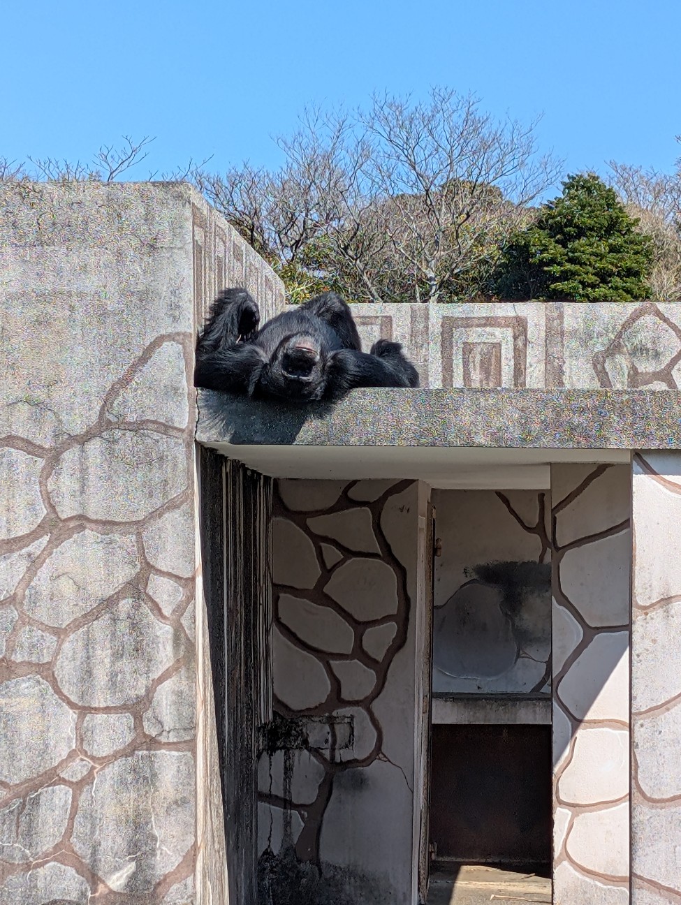 f:id:tetsuuma:20260322202213j:image