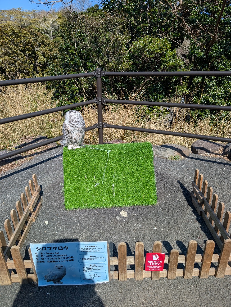 f:id:tetsuuma:20260322204641j:image