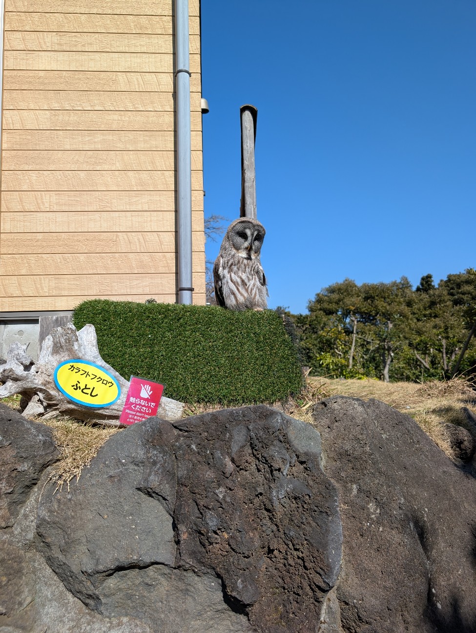 f:id:tetsuuma:20260322204644j:image