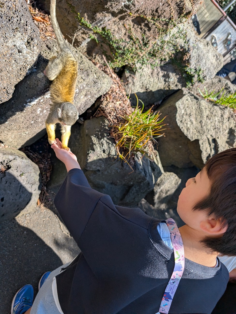 f:id:tetsuuma:20260322205359j:image