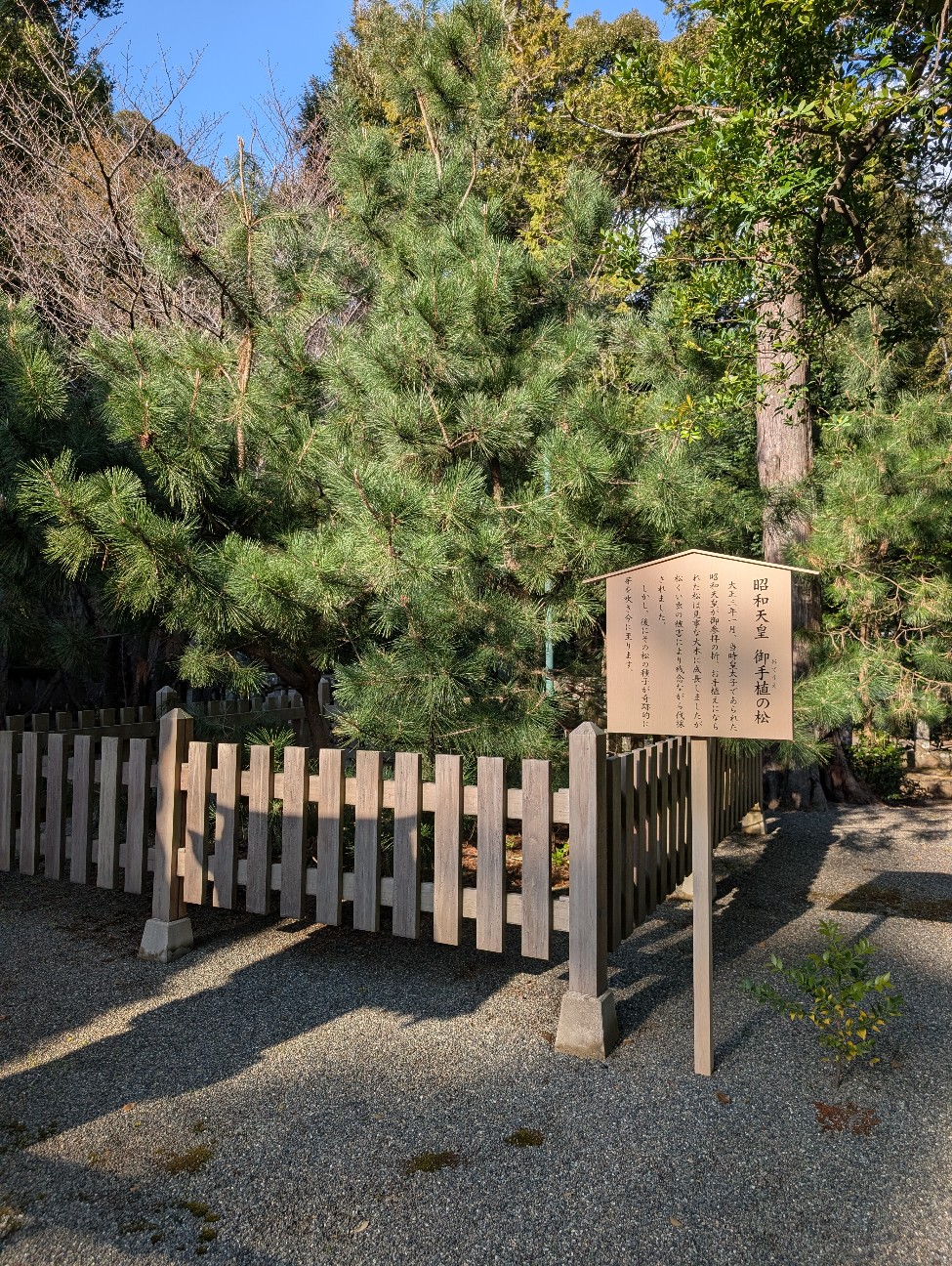 f:id:tetsuuma:20260325195607j:image