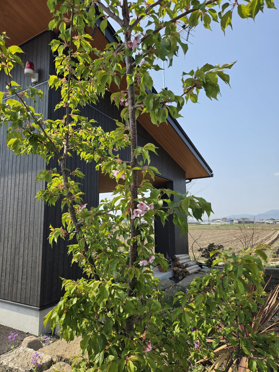 f:id:tetsuuma:20260414201912j:image