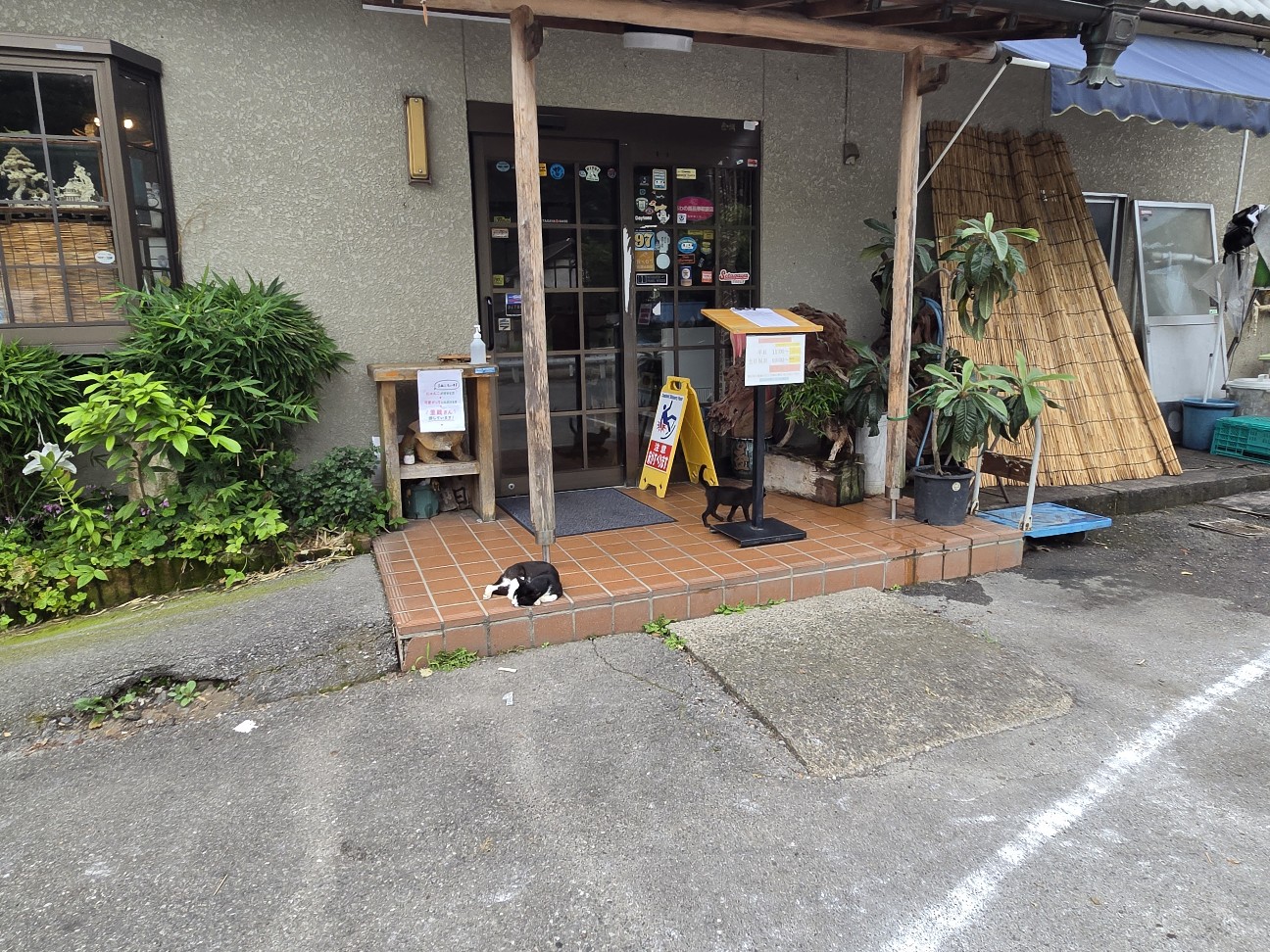 f:id:tetsuuma:20260722051547j:image f:id:tetsuuma:20260722051547j:image