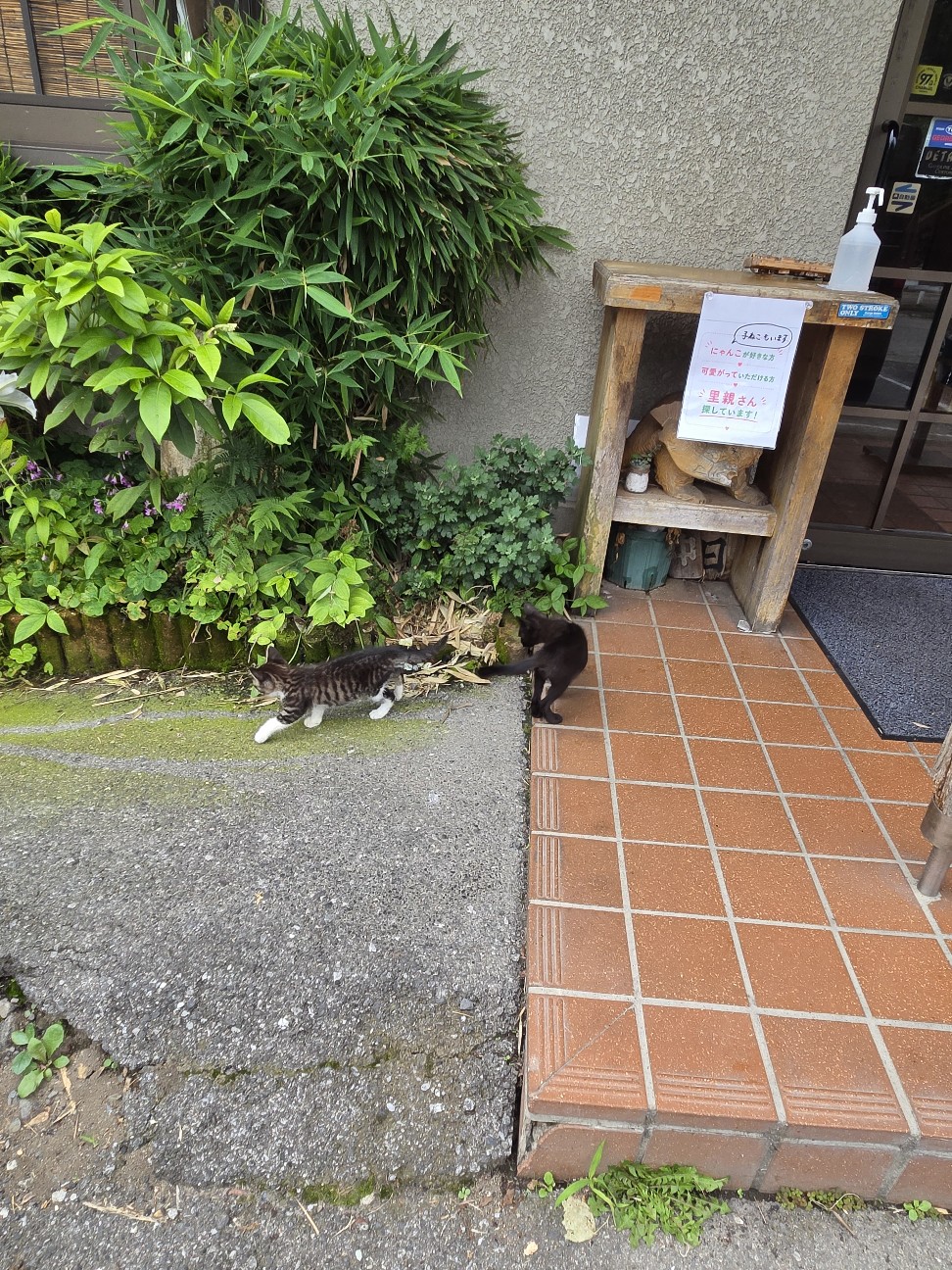 f:id:tetsuuma:20260722051548j:image f:id:tetsuuma:20260722051548j:image