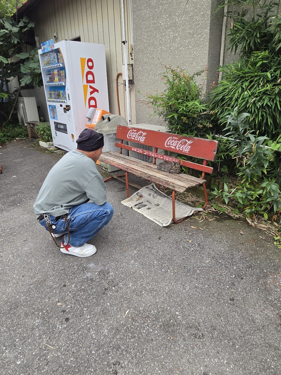f:id:tetsuuma:20260722051700j:image f:id:tetsuuma:20260722051700j:image