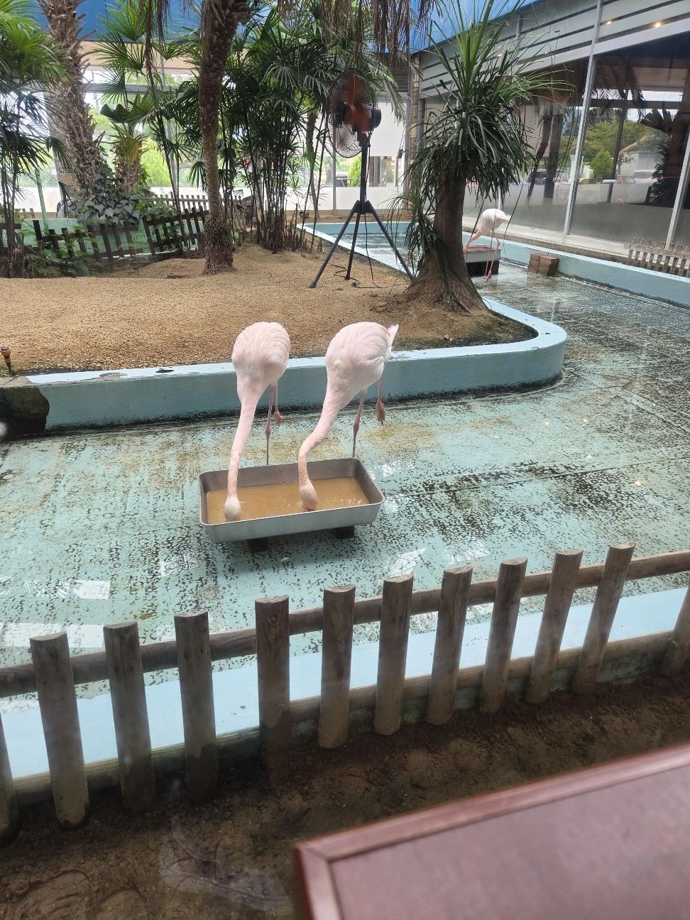 f:id:tetsuuma:20260812090336j:image f:id:tetsuuma:20260812090336j:image