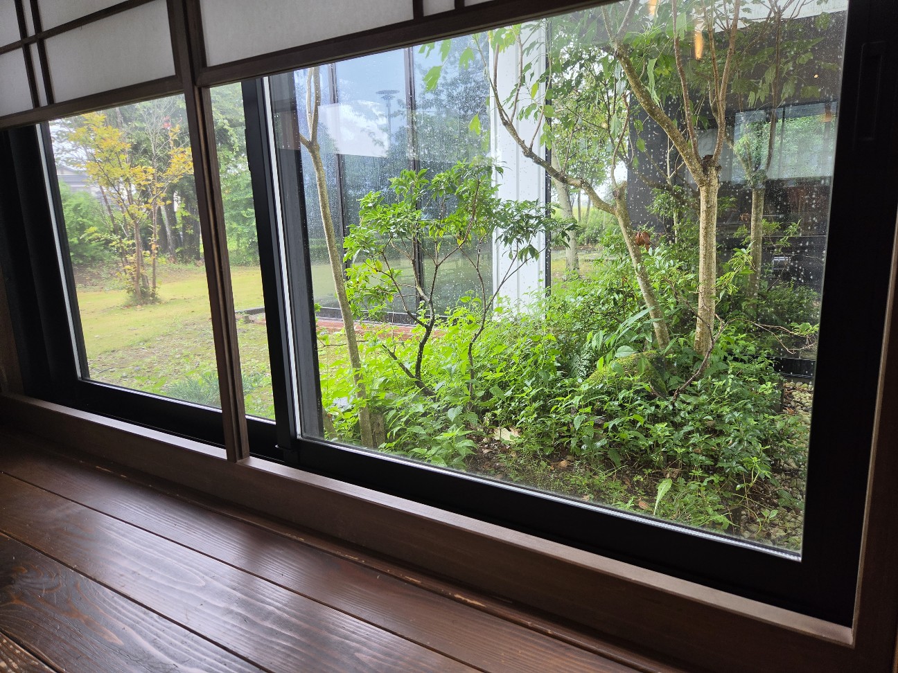 f:id:tetsuuma:20260913150714j:image f:id:tetsuuma:20260913150714j:image
