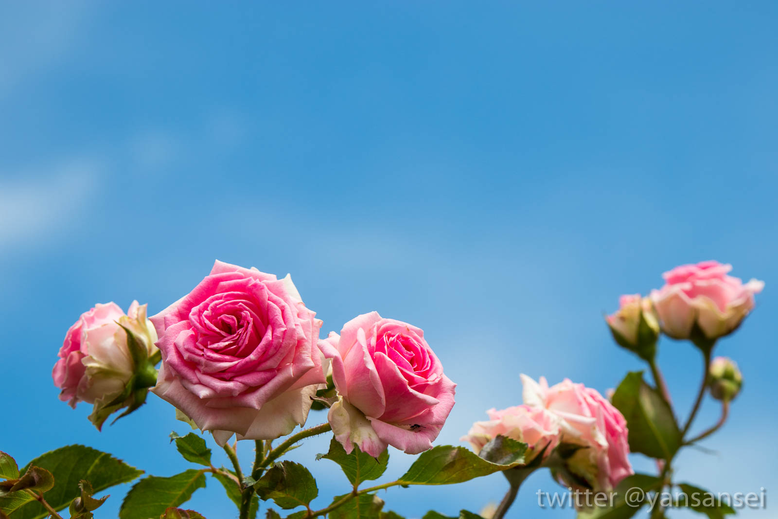 f:id:tetsuya0723:20180708132756j:plain f:id:tetsuya0723:20180708132756j:plain