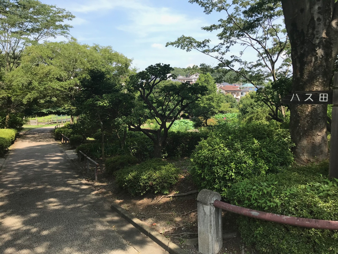 f:id:tetsuya0723:20180721092631j:plain f:id:tetsuya0723:20180721092631j:plain