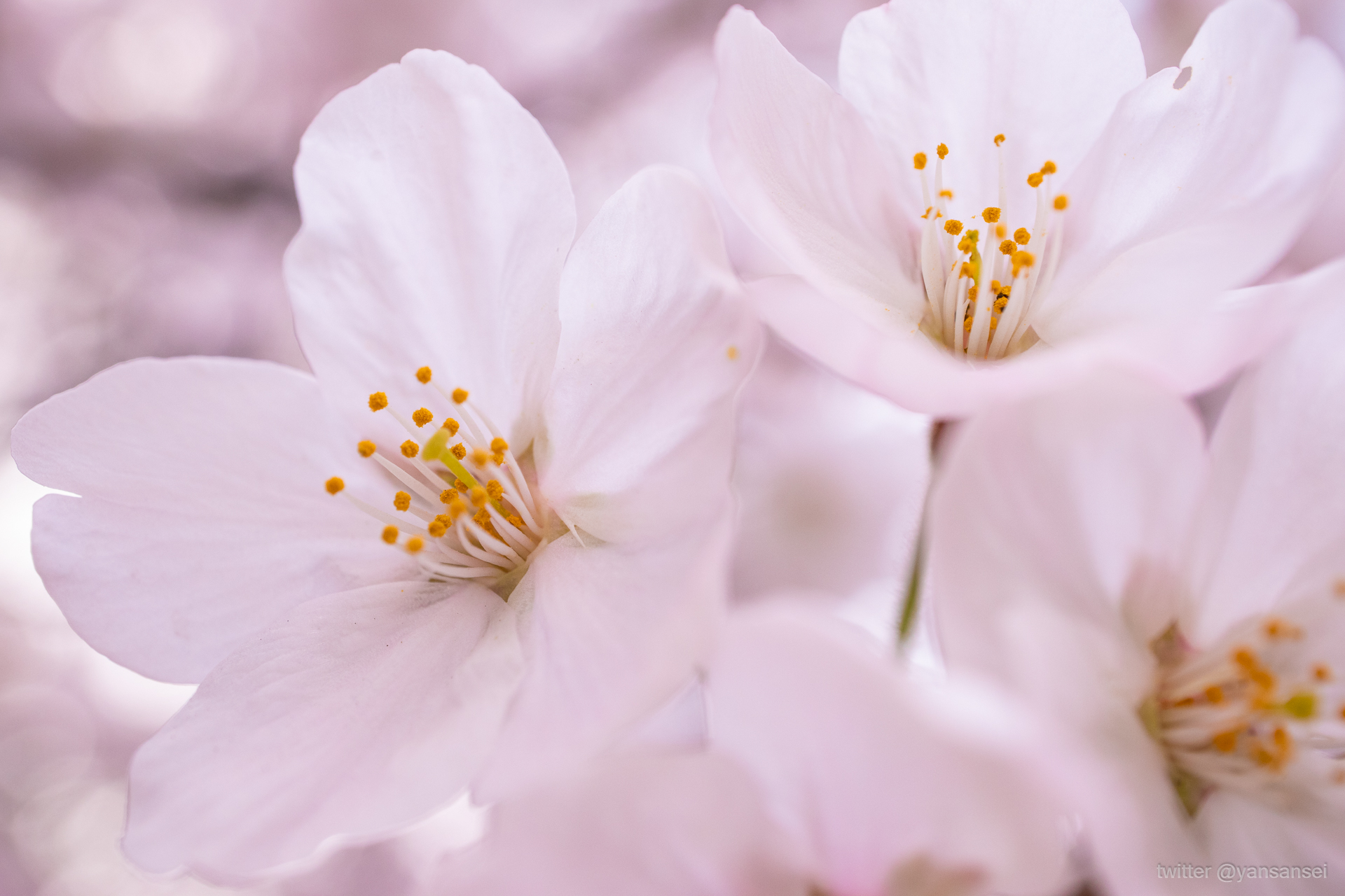 f:id:tetsuya0723:20190330165104j:plain f:id:tetsuya0723:20190330165104j:plain