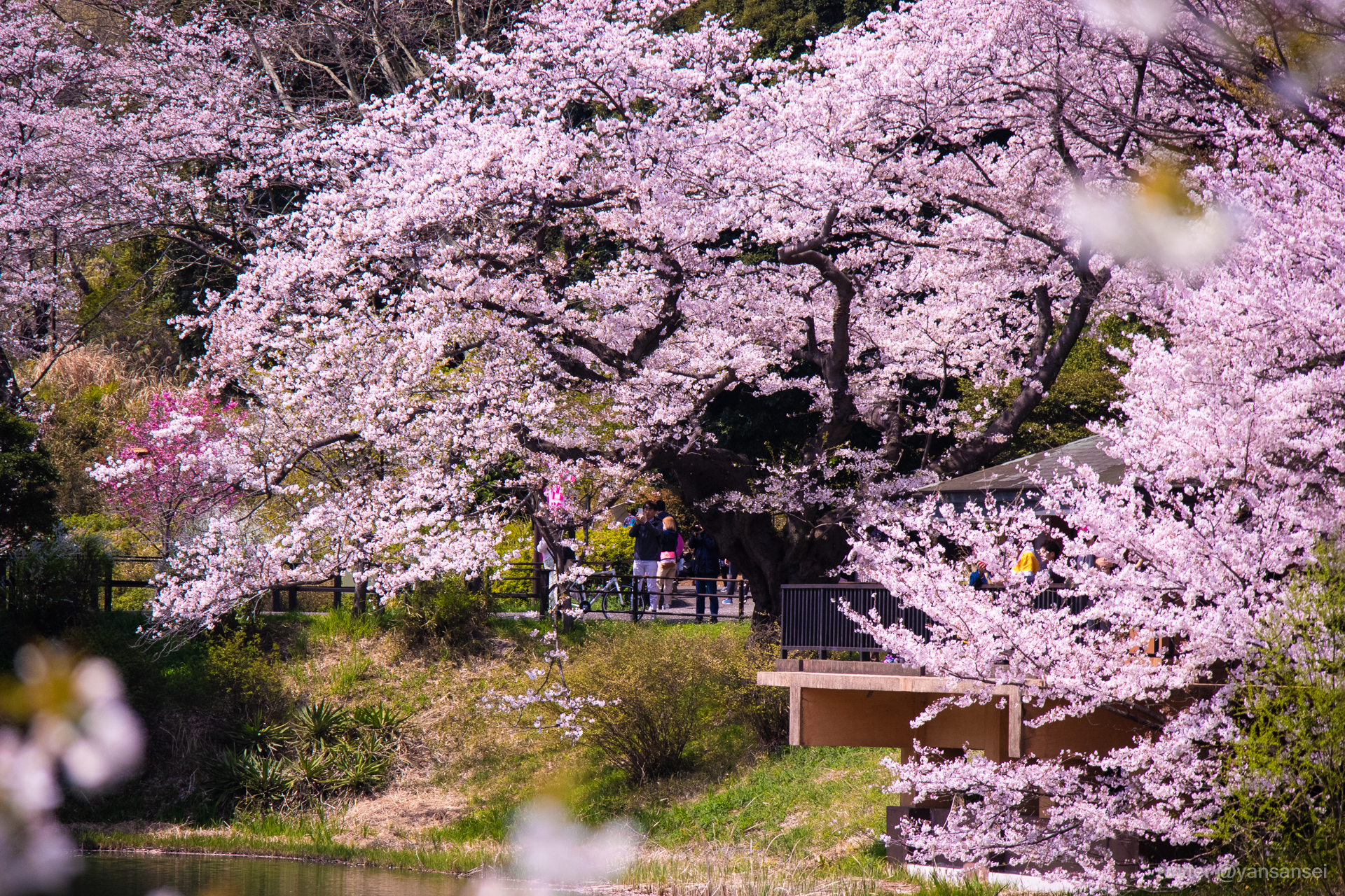f:id:tetsuya0723:20190406105040j:plain f:id:tetsuya0723:20190406105040j:plain