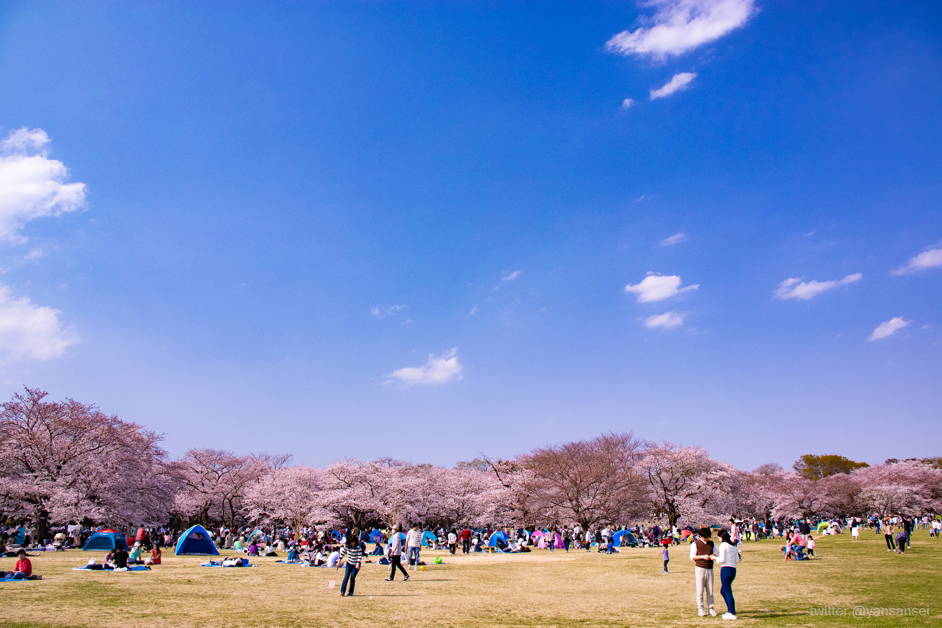 f:id:tetsuya0723:20190406144710j:plain f:id:tetsuya0723:20190406144710j:plain