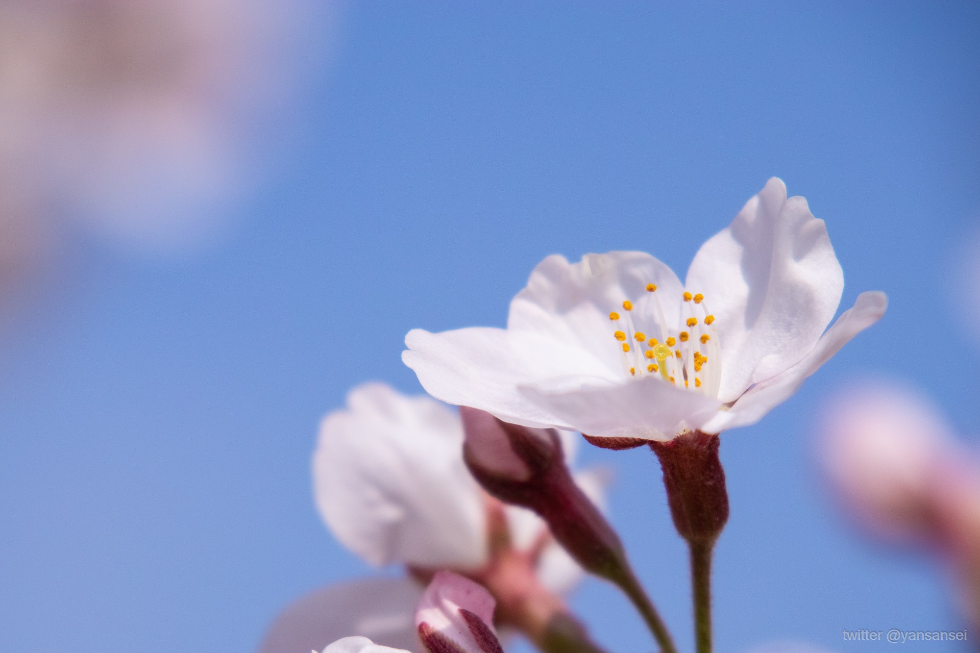 f:id:tetsuya0723:20190406145535j:plain f:id:tetsuya0723:20190406145535j:plain