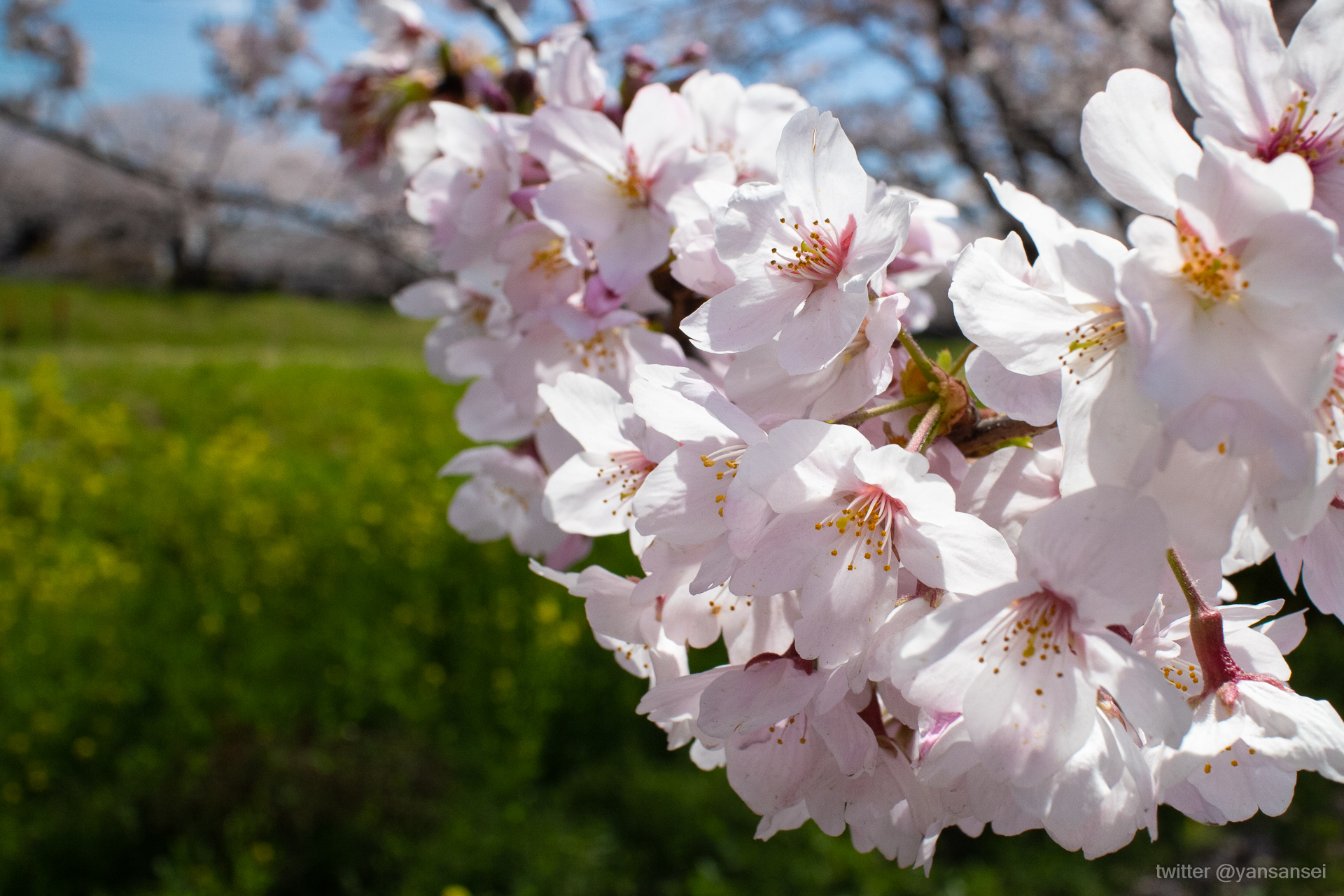 f:id:tetsuya0723:20190409122041j:plain f:id:tetsuya0723:20190409122041j:plain