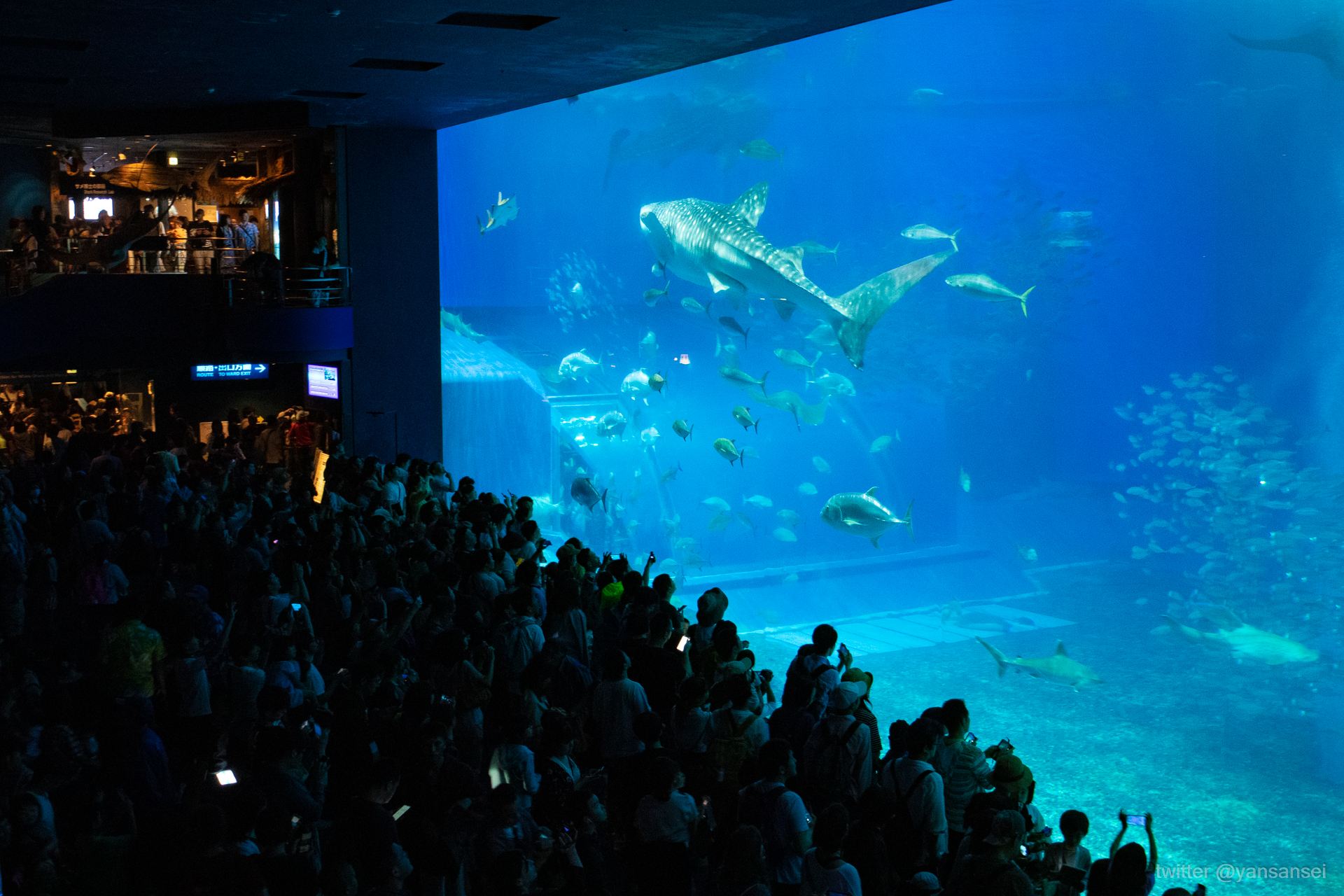 f:id:tetsuya0723:20190501152852j:plain f:id:tetsuya0723:20190501152852j:plain