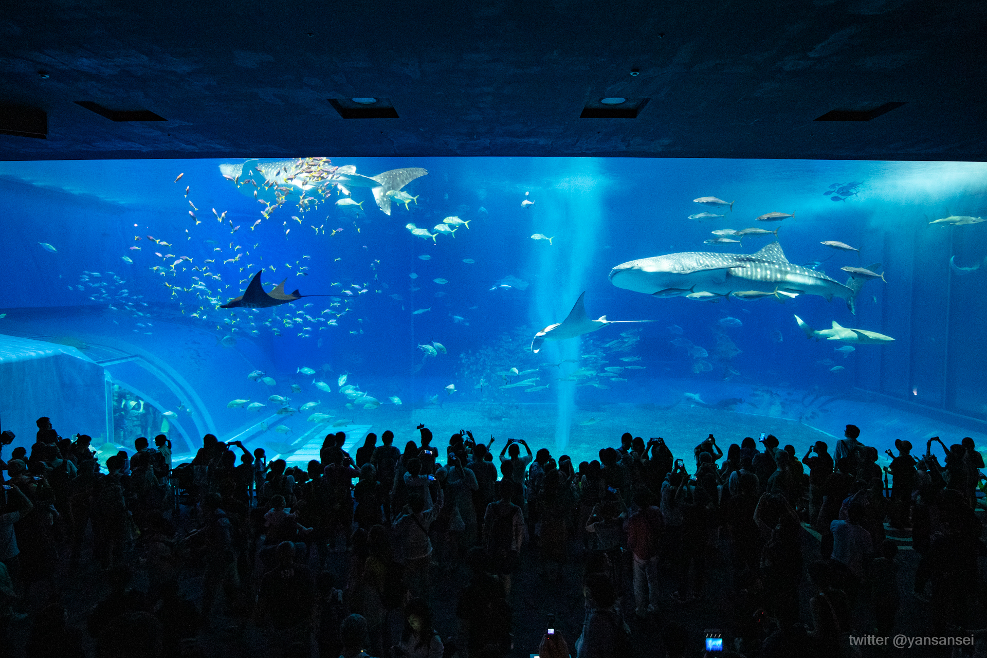 f:id:tetsuya0723:20190501153425j:plain f:id:tetsuya0723:20190501153425j:plain