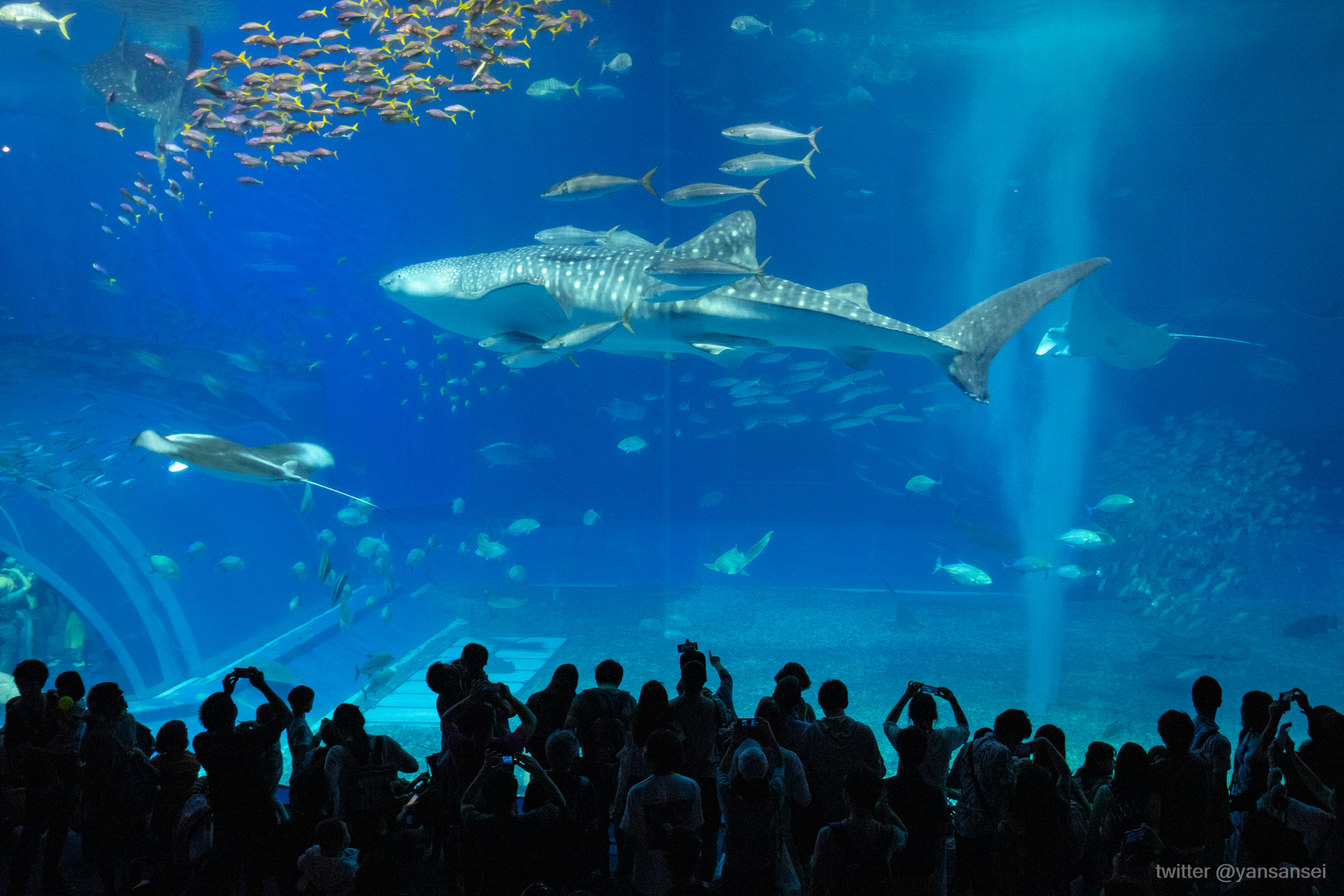 f:id:tetsuya0723:20190501153436j:plain f:id:tetsuya0723:20190501153436j:plain