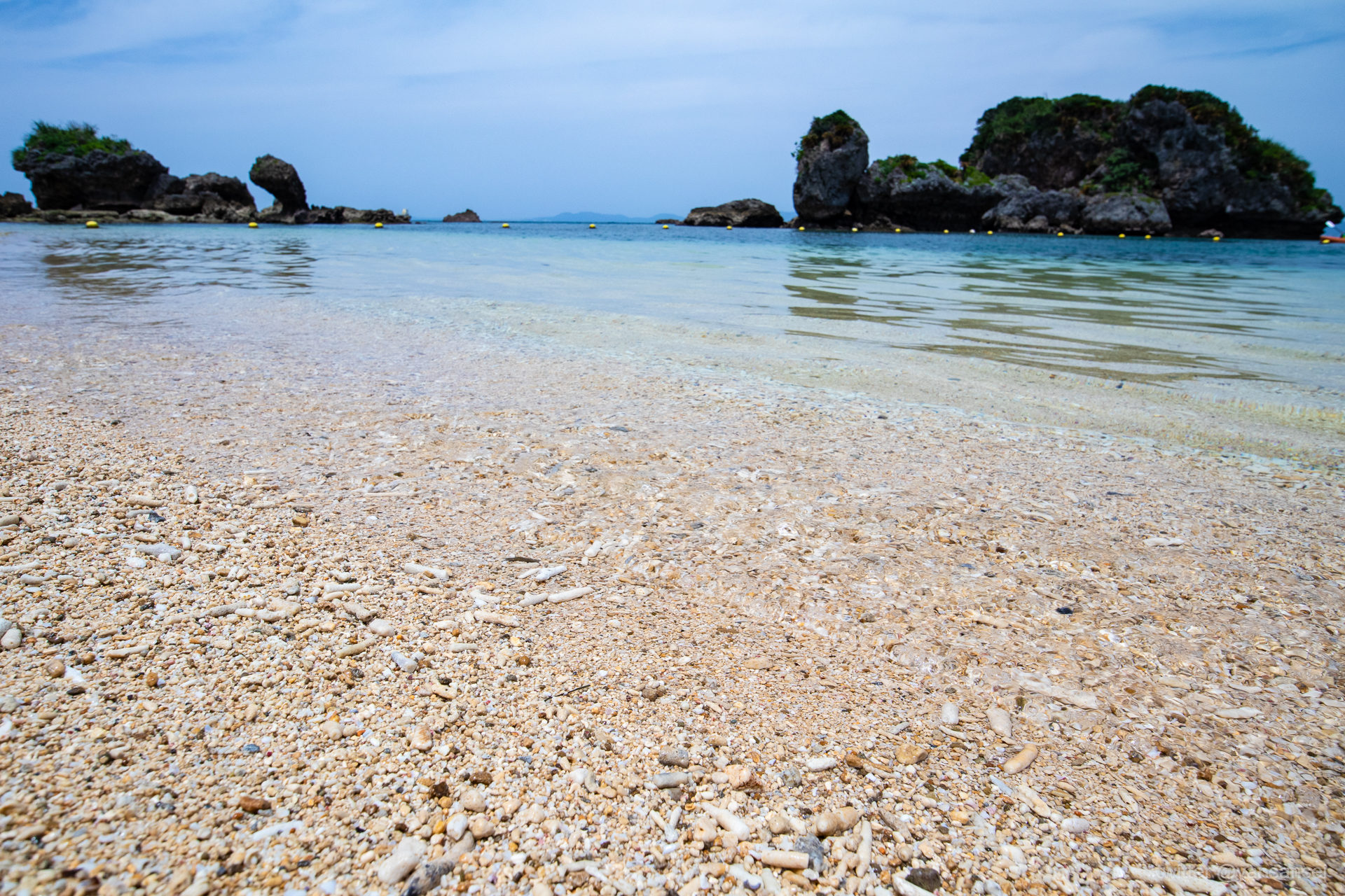 f:id:tetsuya0723:20190502120612j:plain f:id:tetsuya0723:20190502120612j:plain