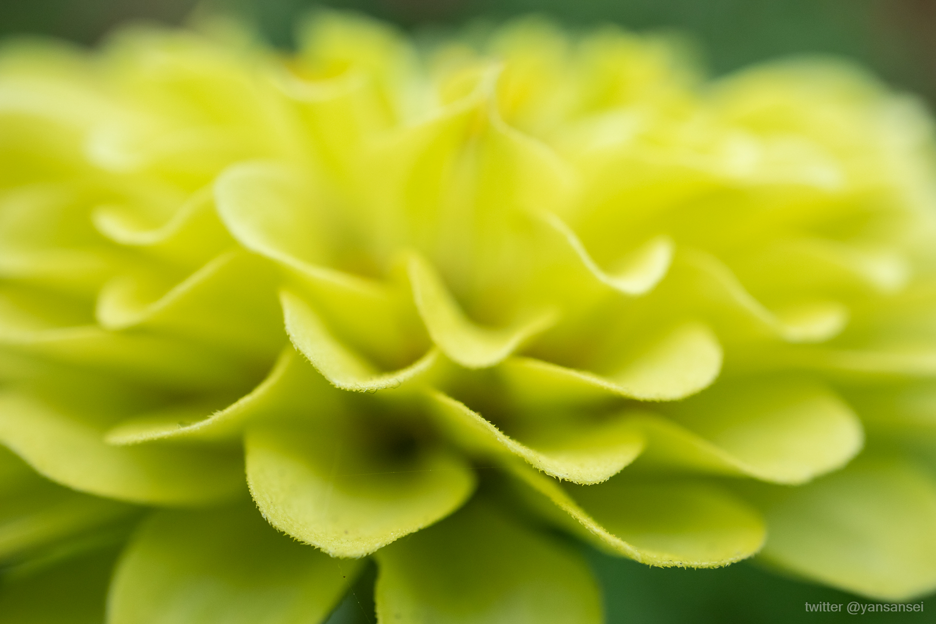 f:id:tetsuya0723:20190601145548j:plain f:id:tetsuya0723:20190601145548j:plain
