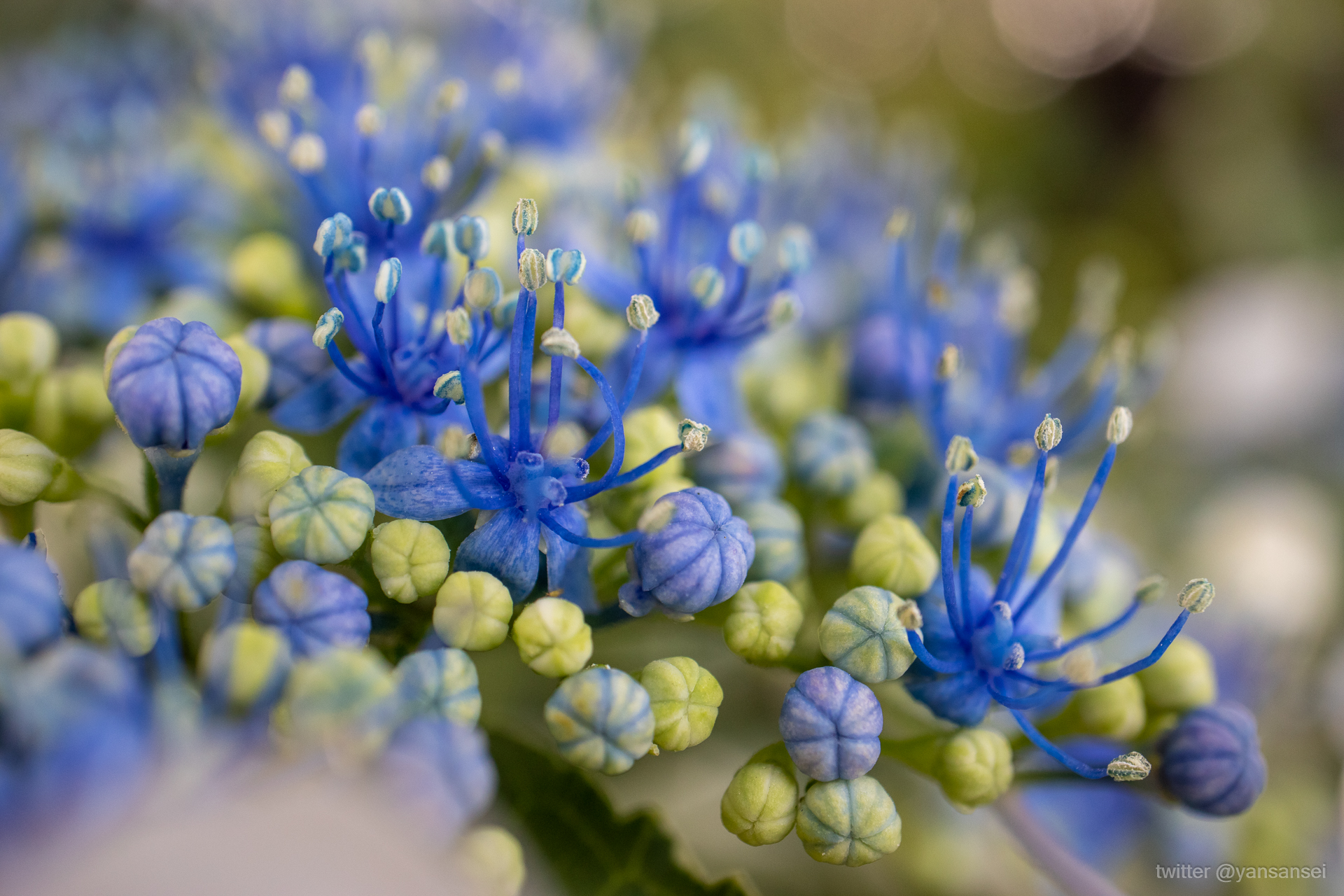 f:id:tetsuya0723:20190601150142j:plain f:id:tetsuya0723:20190601150142j:plain