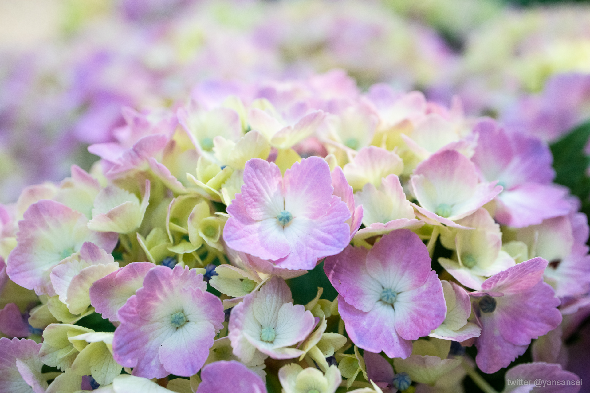 f:id:tetsuya0723:20190601150312j:plain f:id:tetsuya0723:20190601150312j:plain