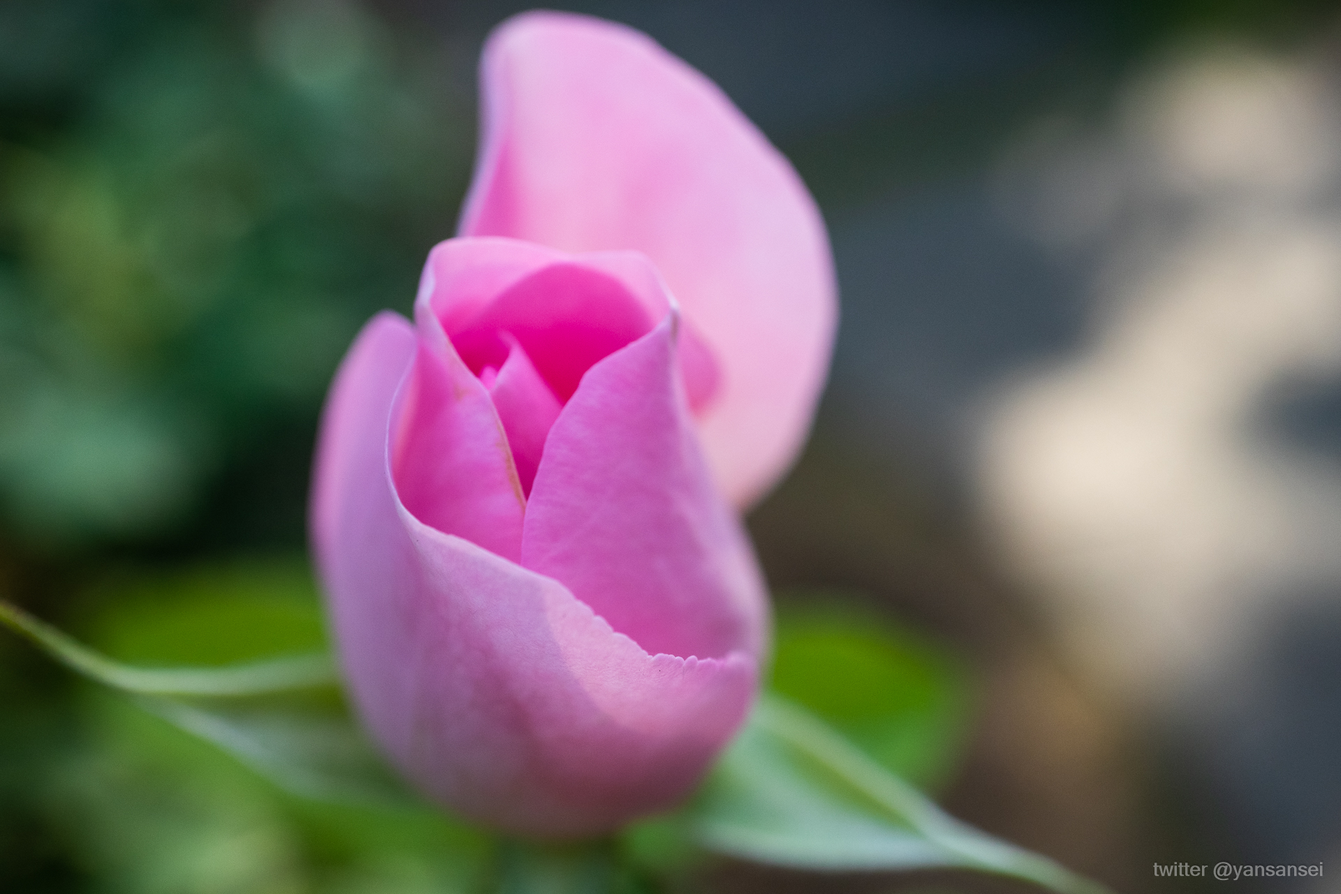 f:id:tetsuya0723:20190601163739j:plain f:id:tetsuya0723:20190601163739j:plain