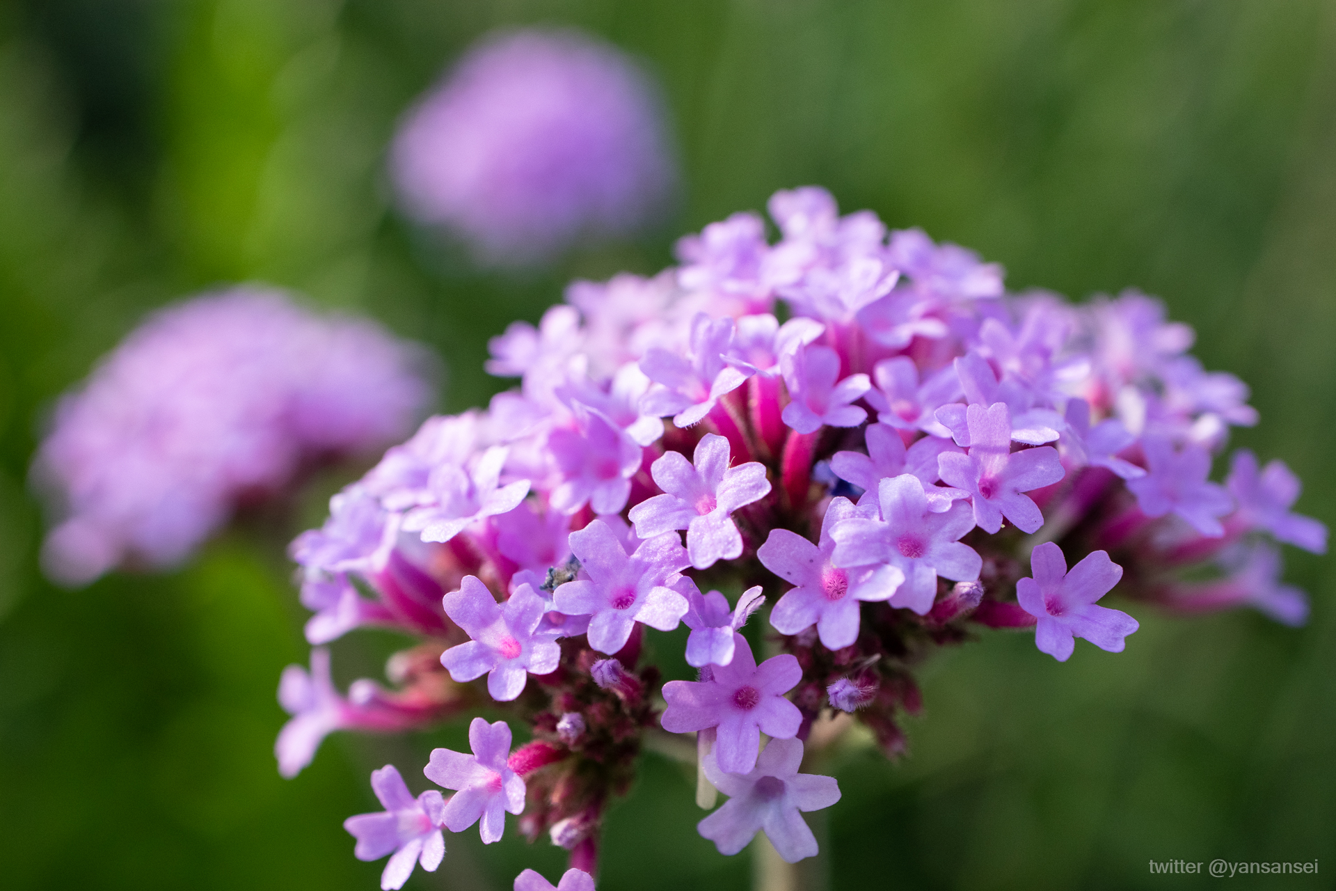 f:id:tetsuya0723:20190601164541j:plain f:id:tetsuya0723:20190601164541j:plain