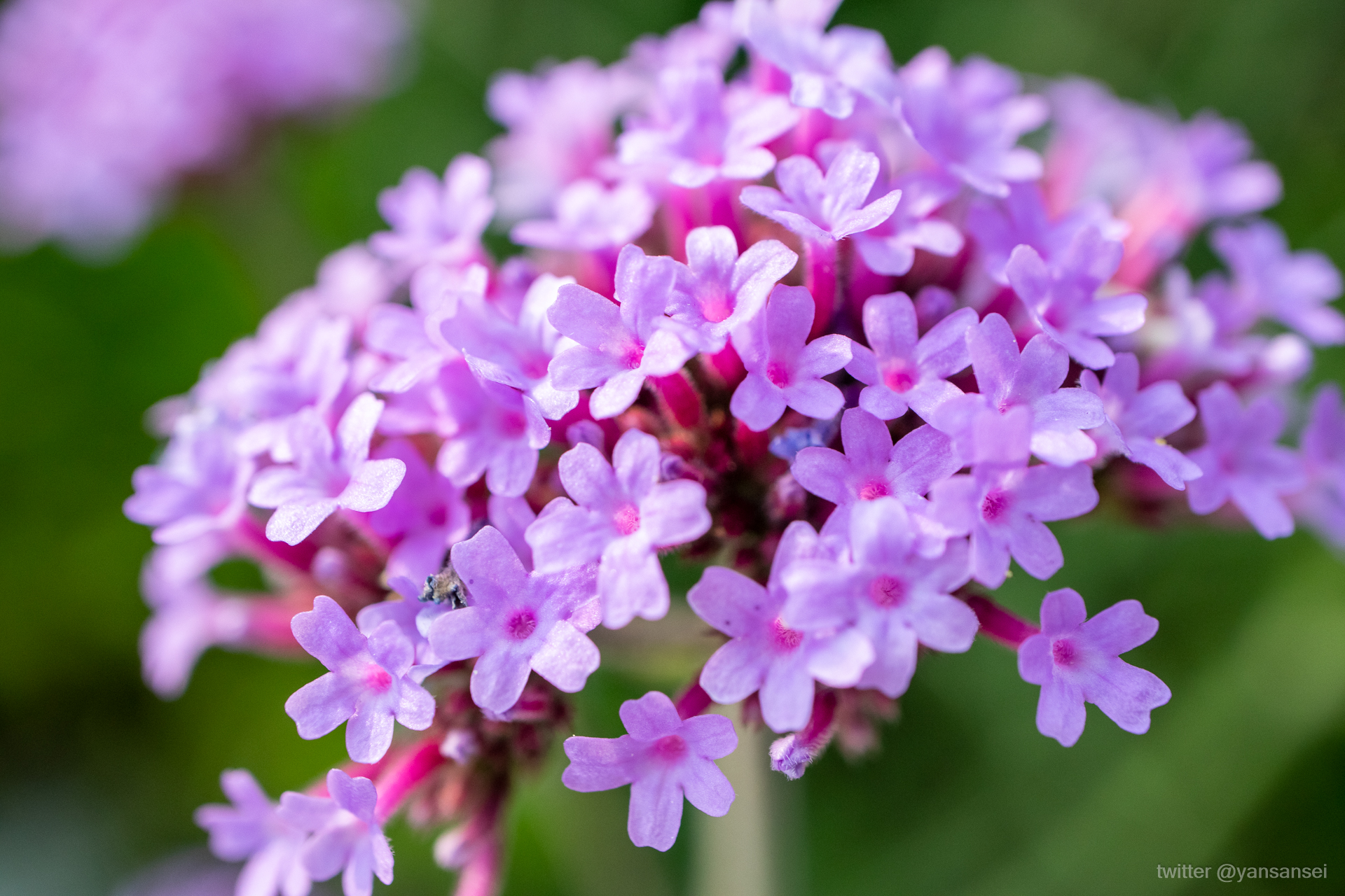 f:id:tetsuya0723:20190601165100j:plain f:id:tetsuya0723:20190601165100j:plain