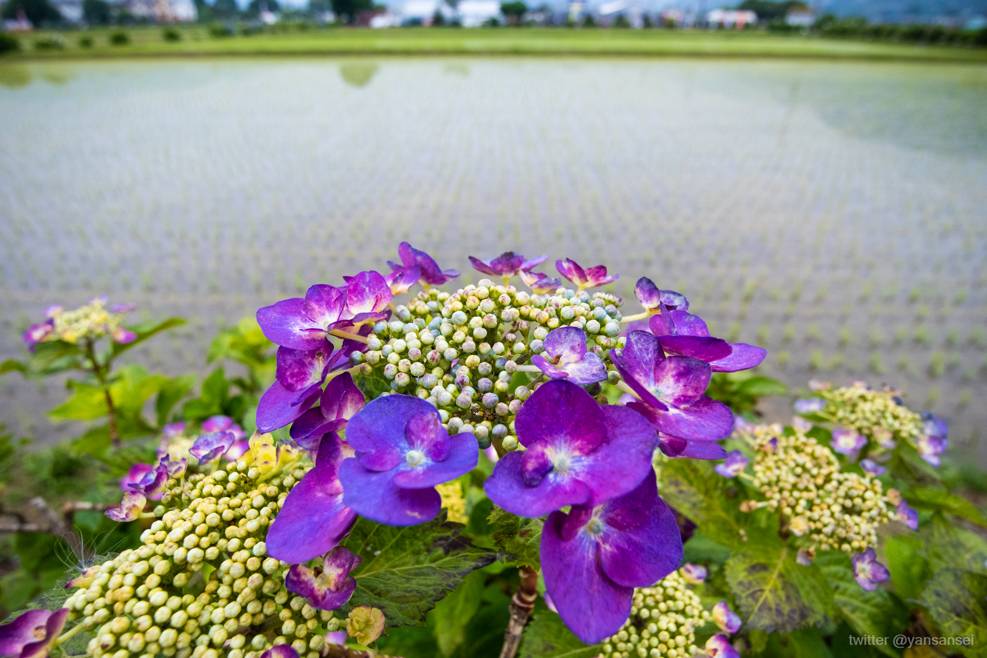 f:id:tetsuya0723:20190602121939j:plain f:id:tetsuya0723:20190602121939j:plain