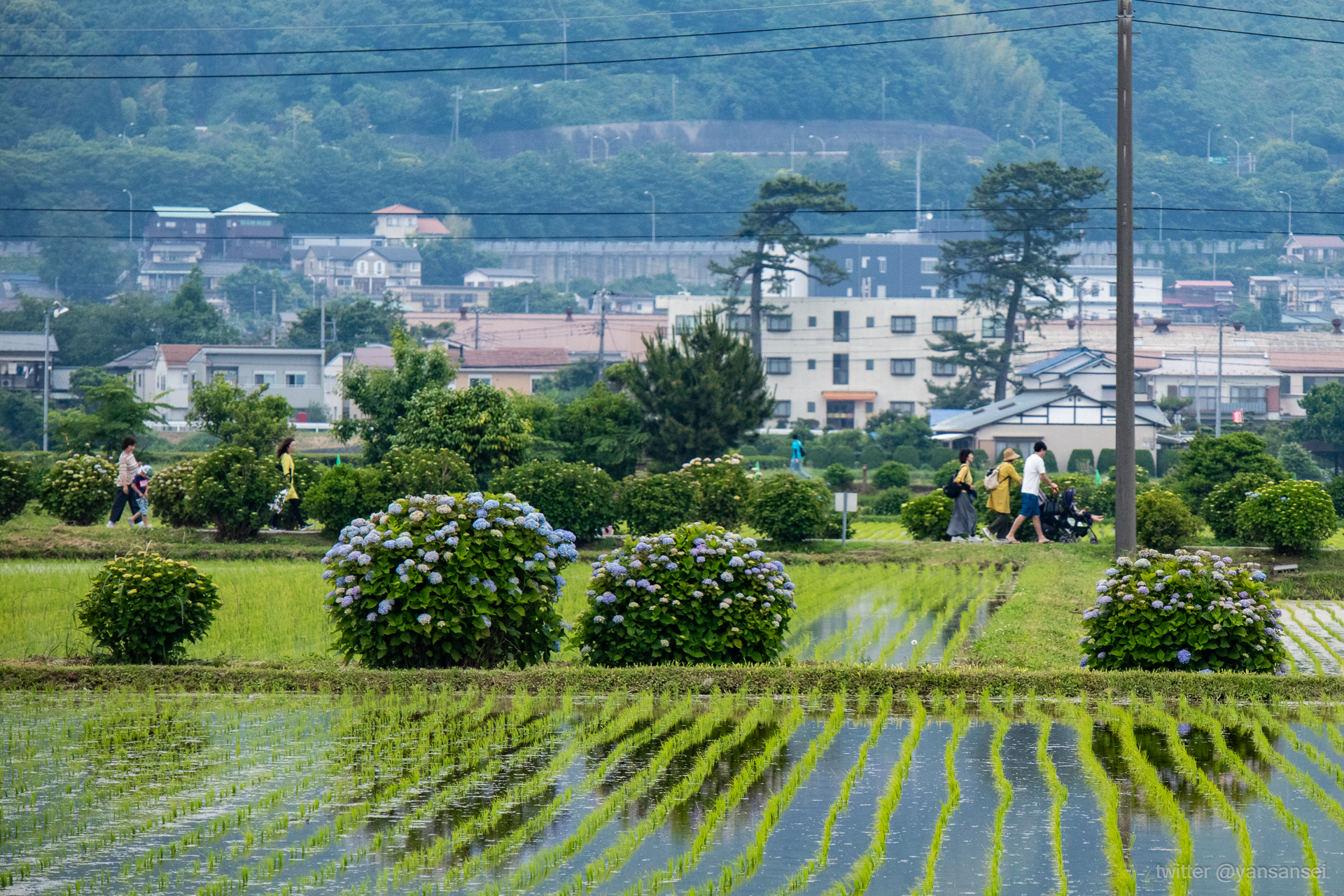f:id:tetsuya0723:20190602124254j:plain f:id:tetsuya0723:20190602124254j:plain