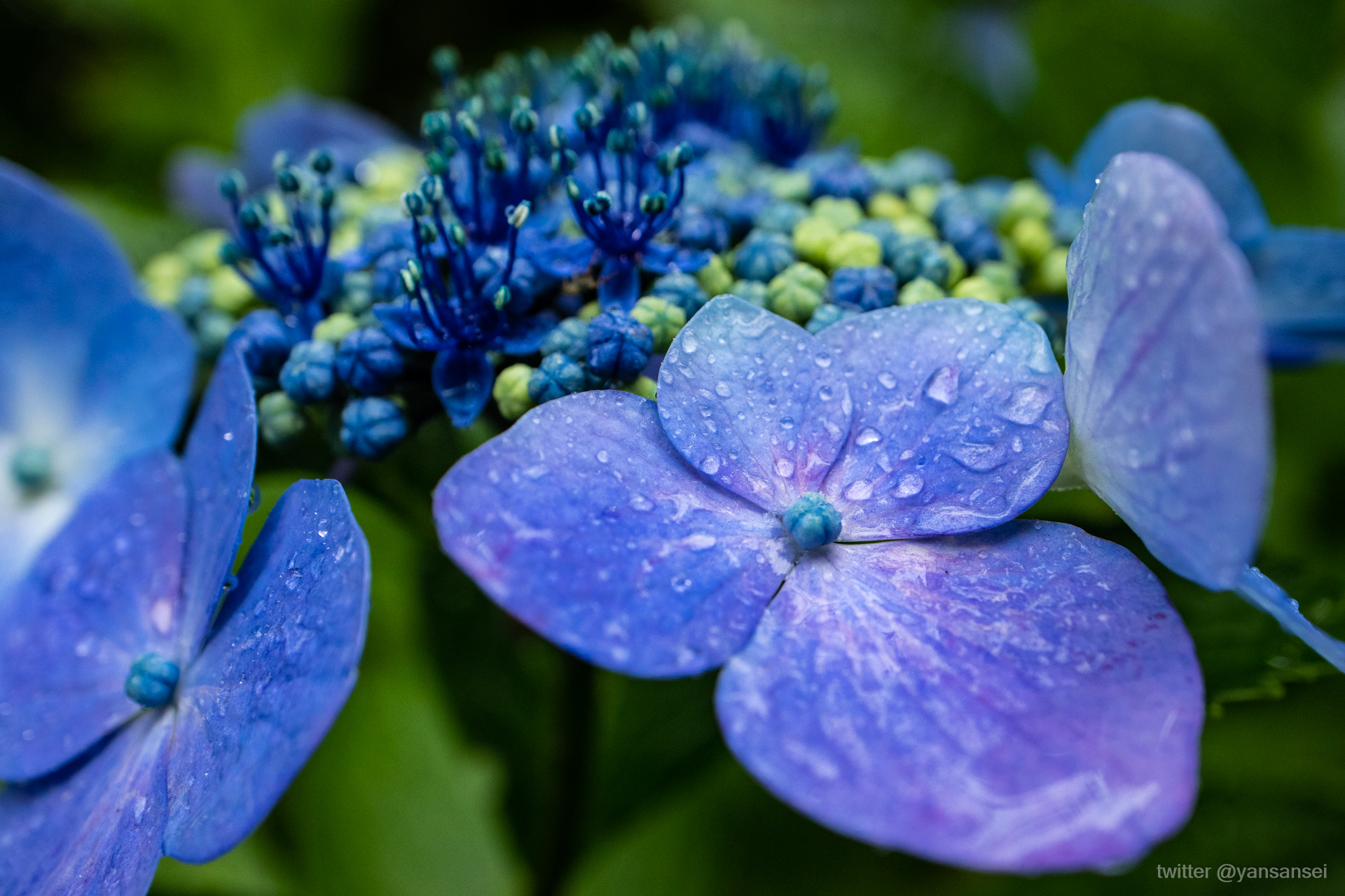f:id:tetsuya0723:20190629123928j:plain f:id:tetsuya0723:20190629123928j:plain