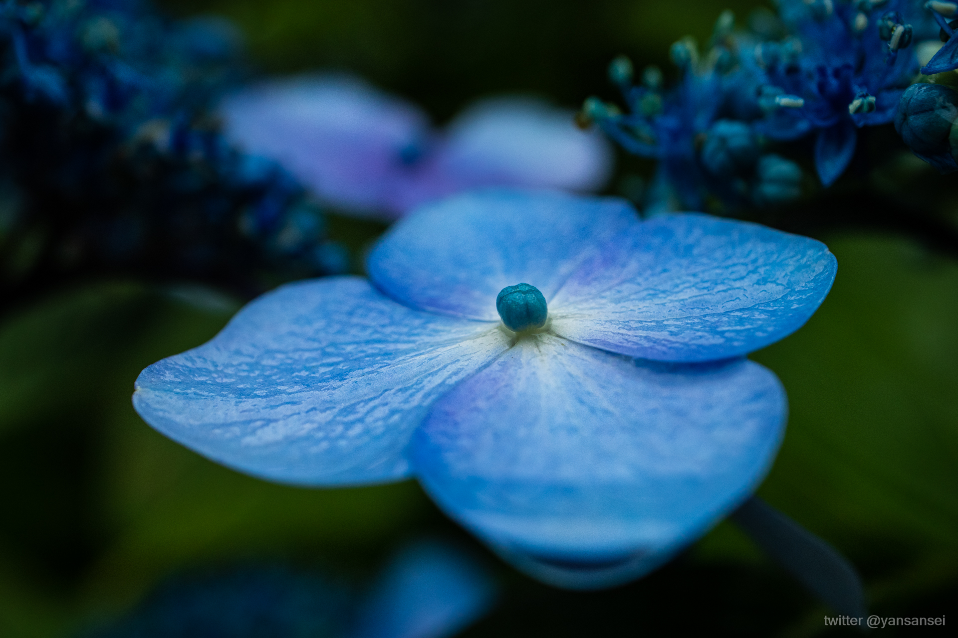 f:id:tetsuya0723:20190629131847j:plain f:id:tetsuya0723:20190629131847j:plain