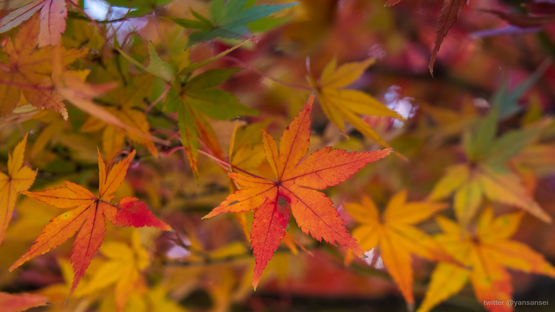 f:id:tetsuya0723:20191130135913j:plain f:id:tetsuya0723:20191130135913j:plain