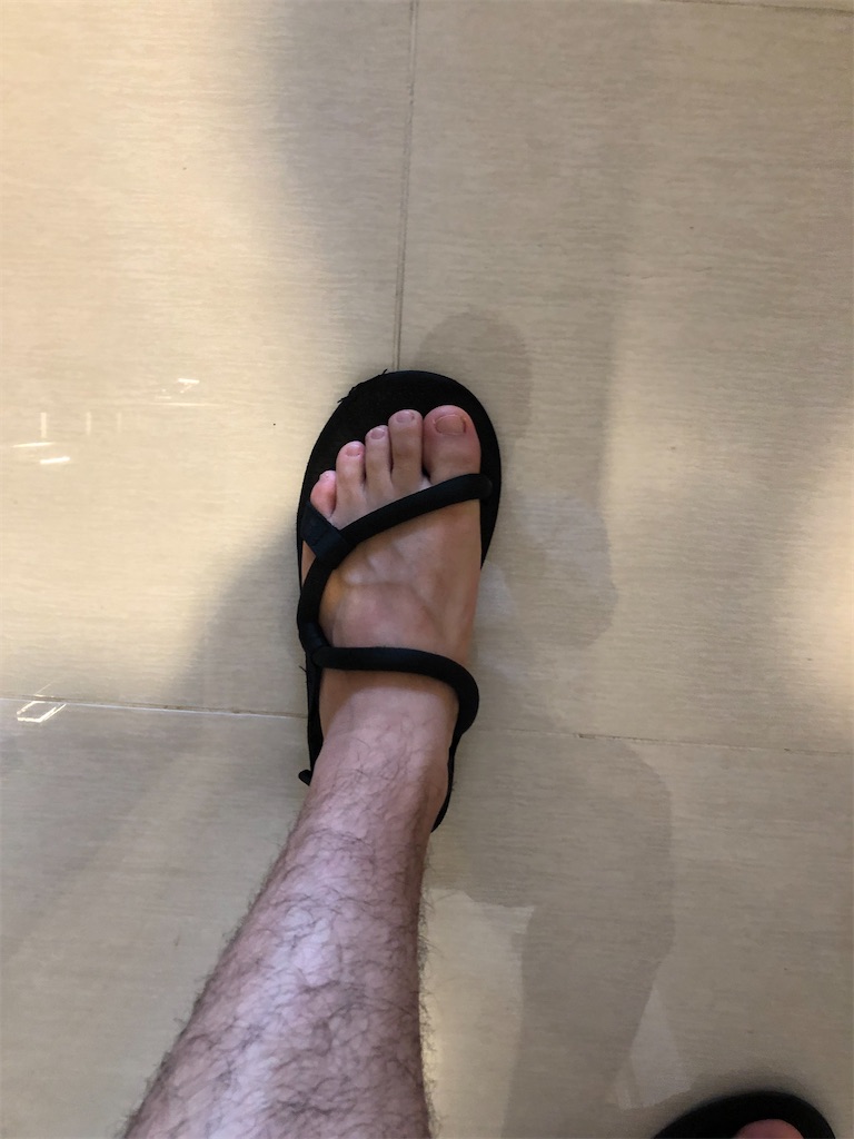 f:id:tetsuya1107:20200523180453j:plain f:id:tetsuya1107:20200523180453j:plain