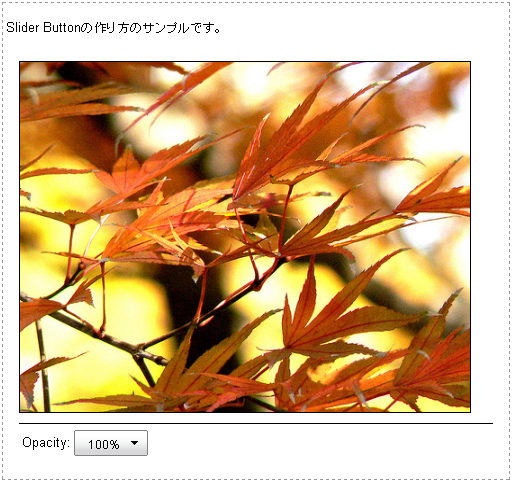 f:id:tetsuya_odaka:20081118203609p:image f:id:tetsuya_odaka:20081118203609p:image