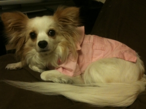 f:id:tetsuyai:20110430003158j:image:left f:id:tetsuyai:20110430003158j:image:left