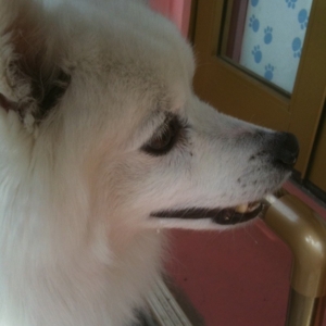 f:id:tetsuyai:20110430004406j:image:right f:id:tetsuyai:20110430004406j:image:right