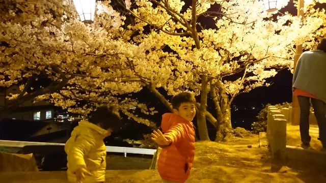 f:id:tetsuyajeark:20170410230256j:image