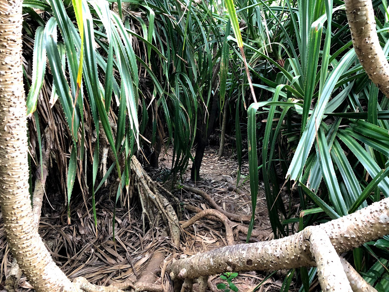 f:id:tetsuyama2000:20180412192644j:plain f:id:tetsuyama2000:20180412192644j:plain