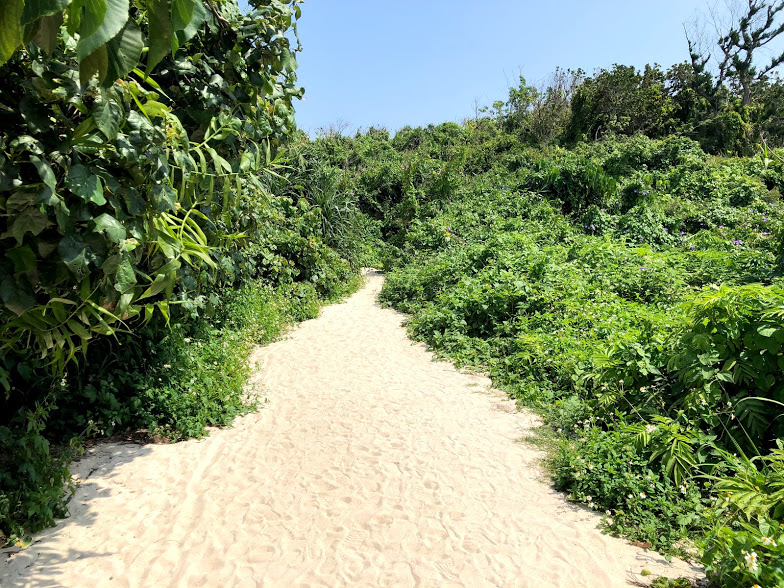 f:id:tetsuyama2000:20180412200039j:plain f:id:tetsuyama2000:20180412200039j:plain