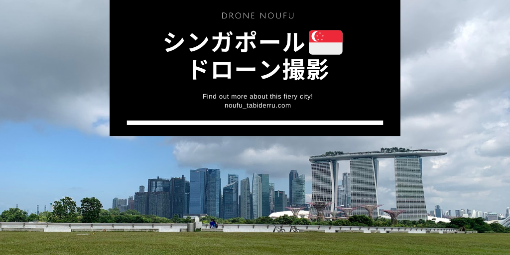 シンガポールでドローンを飛ばしてみた ツーリストが気をつけるルールやフライトスポット 農夫 旅に出る