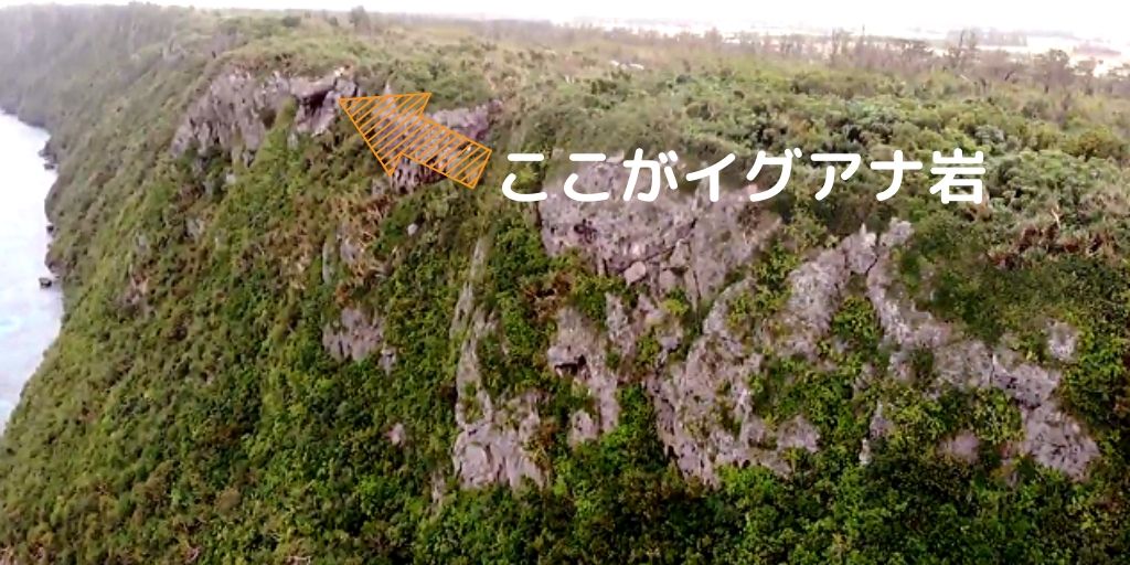 f:id:tetsuyama2000:20191203170325j:plain f:id:tetsuyama2000:20191203170325j:plain