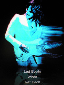 Led Boots