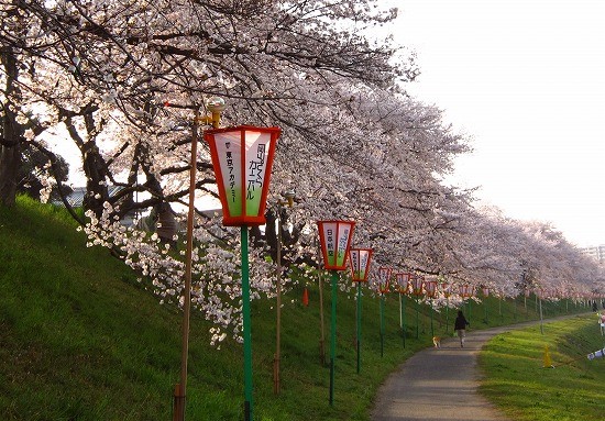 f:id:tetsuyaota:20100406185125j:image