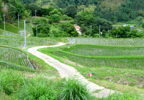 f:id:tetsuyaota:20120702204956p:image f:id:tetsuyaota:20120702204956p:image