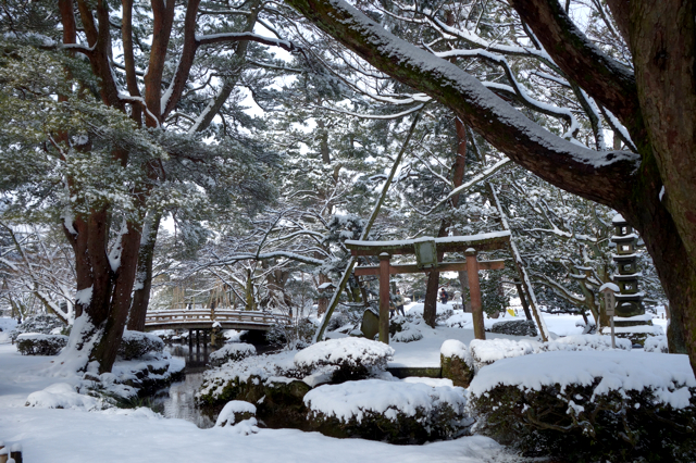 f:id:tetsuyaota:20130224152259j:image